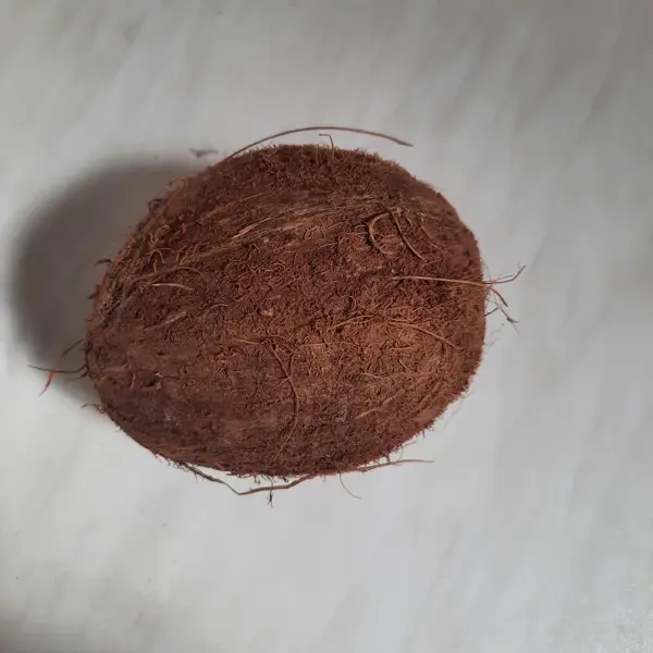 Noix de coco