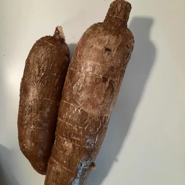 Manioc